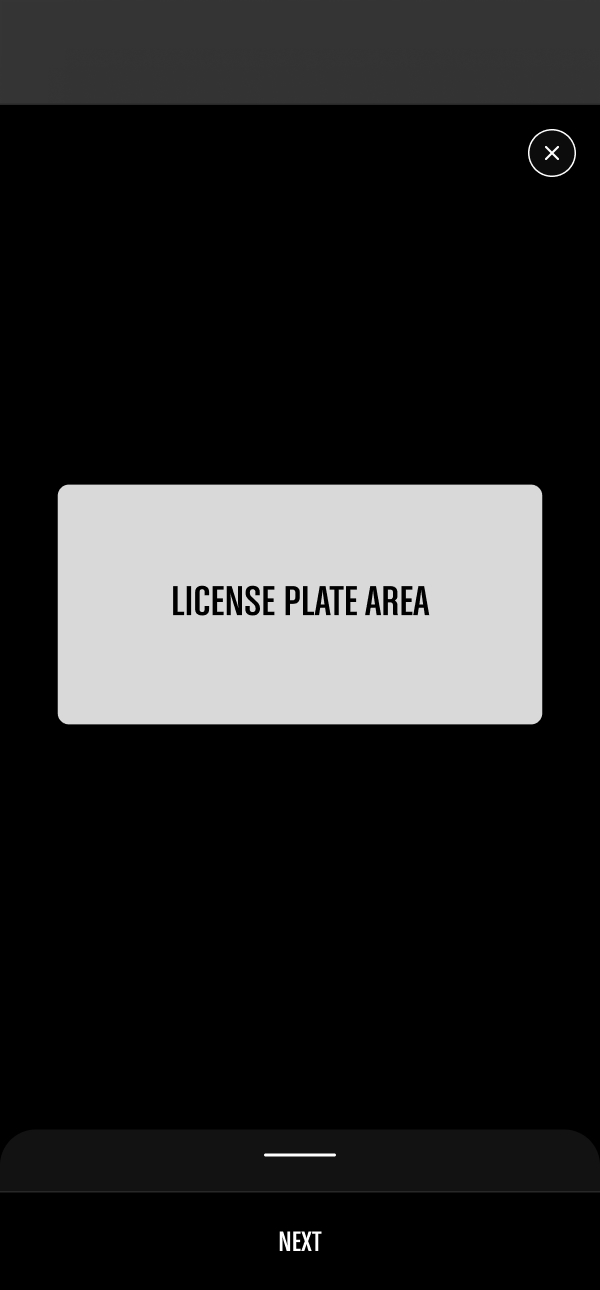 Mobile: the plate review state.